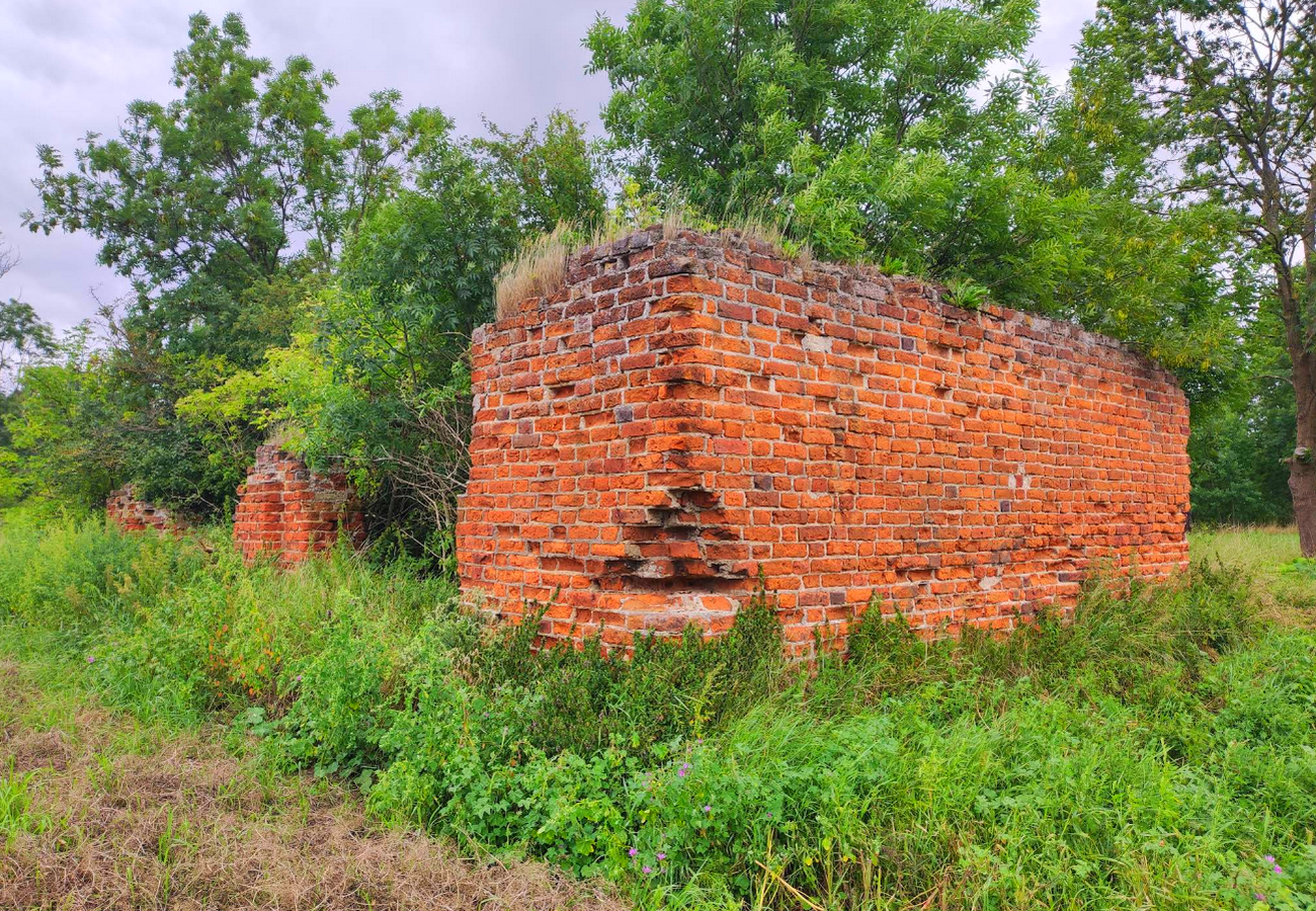 Ruines du manoir fortifié (Ordre teutonique) de Mątowy Małe (Montau)